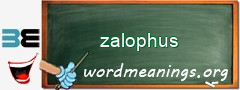 WordMeaning blackboard for zalophus
